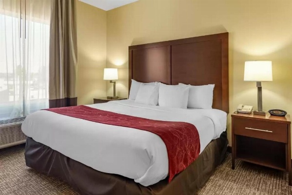 Comfort Suites Montgomery East Monticello Dr. image 12