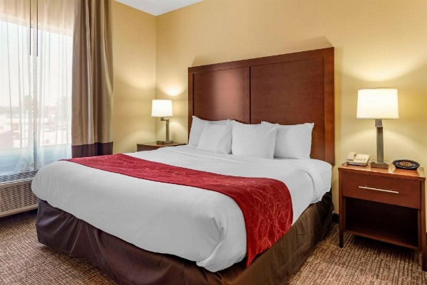 Comfort Suites Montgomery East Monticello Dr. image 26